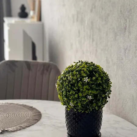 Apartament Sea Breeze Ap58 Sveti Vlas